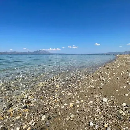Summer Sea
