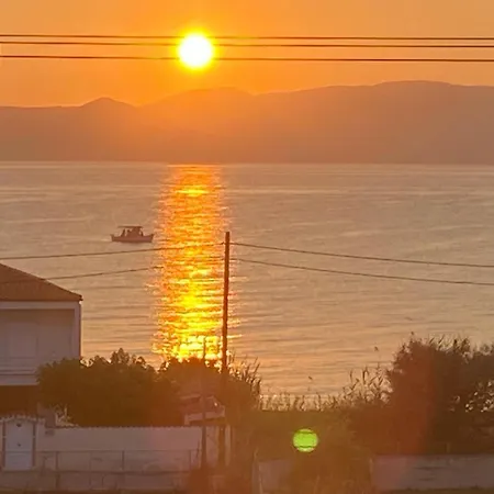 Summer Sea Nerantza